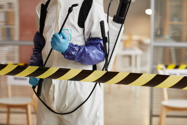 Professional Trauma Scene Cleanup technician working in Leamington, UT